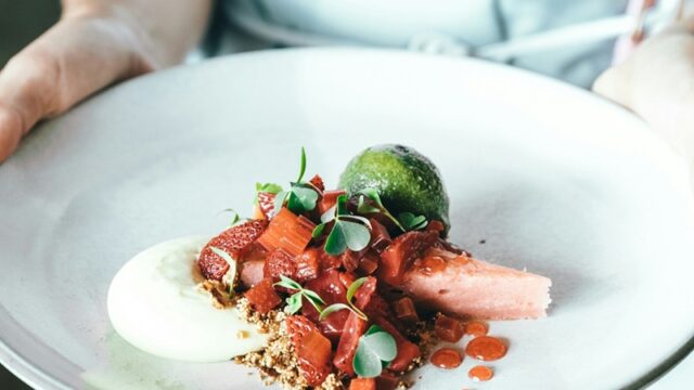 spencer-davis-iisJTtwOa2c-unsplash