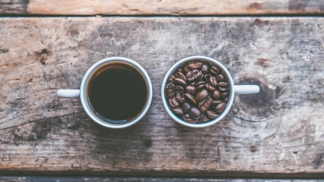 web jessica-lewis-thepaintedsquare-kXHFmVZfNrU-unsplash